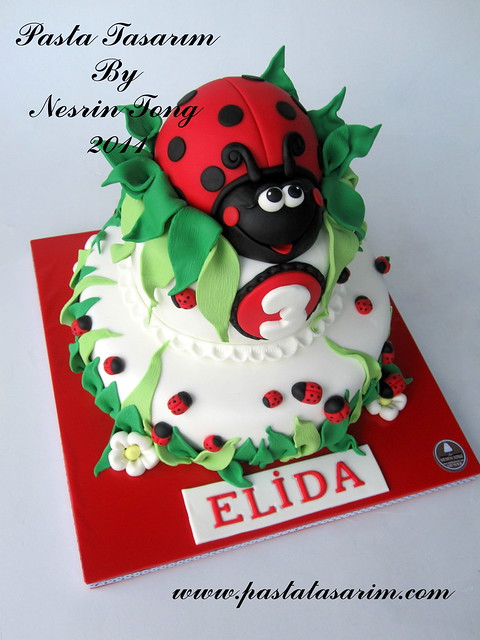 ladybug cake- ELİDA 3. BIRTHDAY