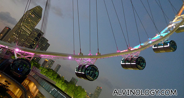 View of the Flyer capsules from the roof top