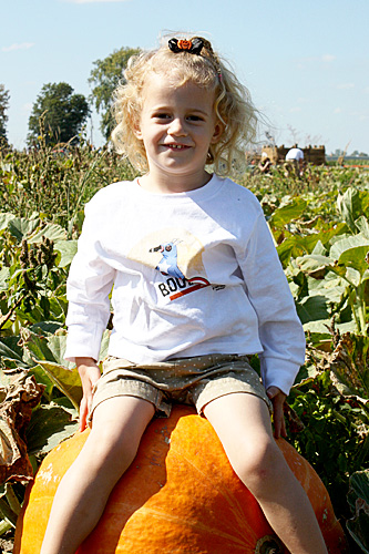 Auttie-smile-pumpkin