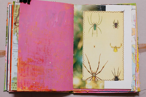 Journal of Scraps I: spider power