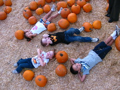 Pumpkin cousins