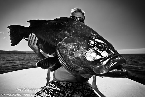 Costa Rica, Fisherman with a Broomtail Grouper (Mycteroperca xenarcha) lit with an SB800 off camera flash and edited in black and white by Nicola Zingarelli