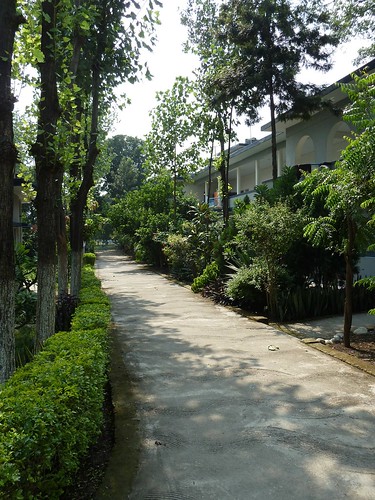The Path to our Rooms