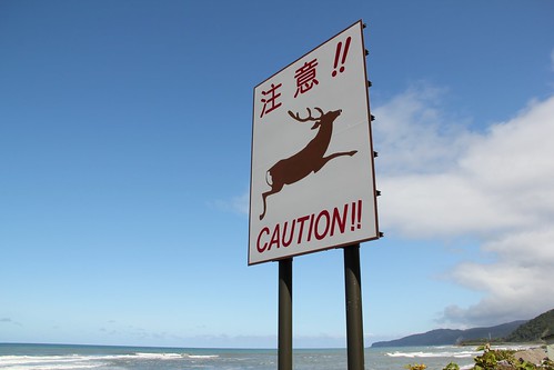 Caution! Deer 鹿に注意