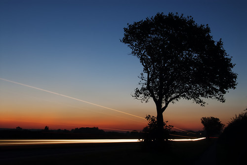 フリー写真素材|自然・風景|樹木|夕日・夕焼け・日没|イギリス|