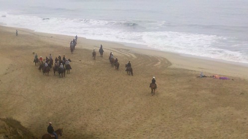 Horses on Half Moon Bay State Beach