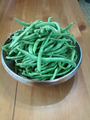 Pile of Pole Beans