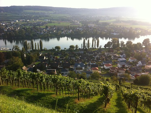 Vineyards above Stein am Rhein, Switzerland