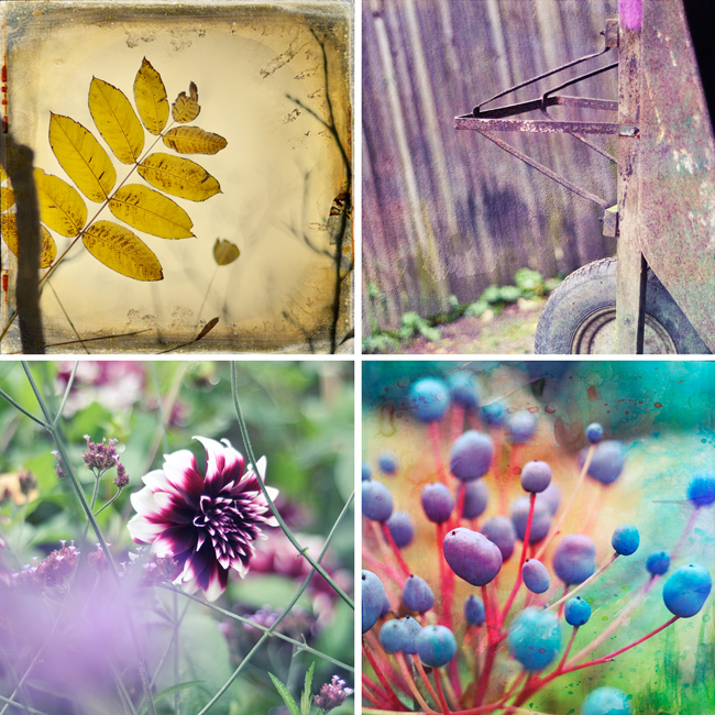 Botaniska collage