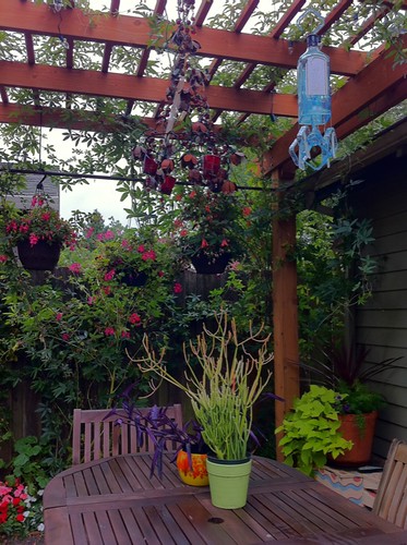 The patio/my summer office/backyard
