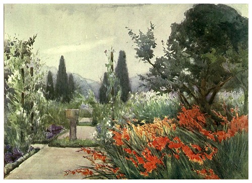 024- Varas de San Jose y guisantes dulces en otoño-Escocia- Flower grouping in English, Scotch & Irish gardens 1907- Margaret Waterfield