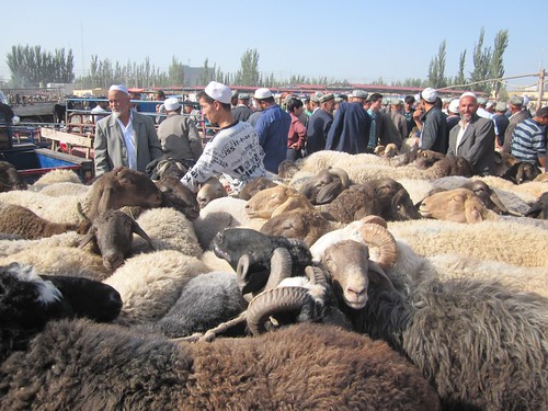 Animal market, Kashgar