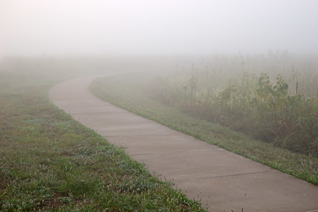 Columbia Bottom Conservation Area, in Saint Louis County, Missouri, USA -  path in fog