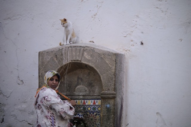 Carolin Weinkopf, Morocco