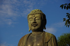 Big smiling buddha