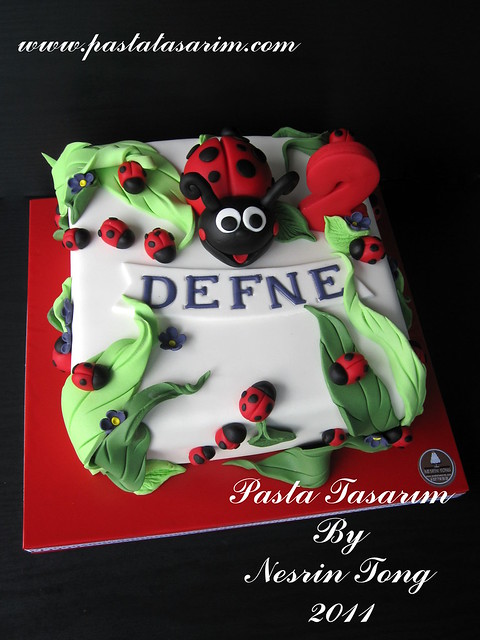 LADYBUG CAKE- DEFNE 2ND BIRTHDAY