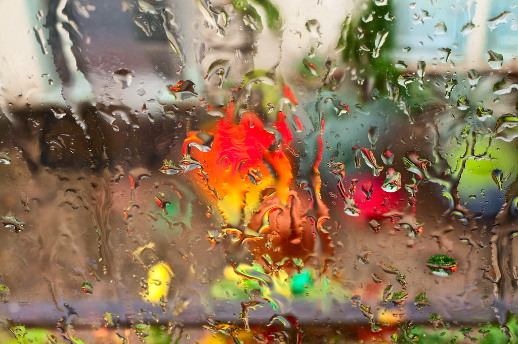 Rainy Day Rapture © Harold Davis