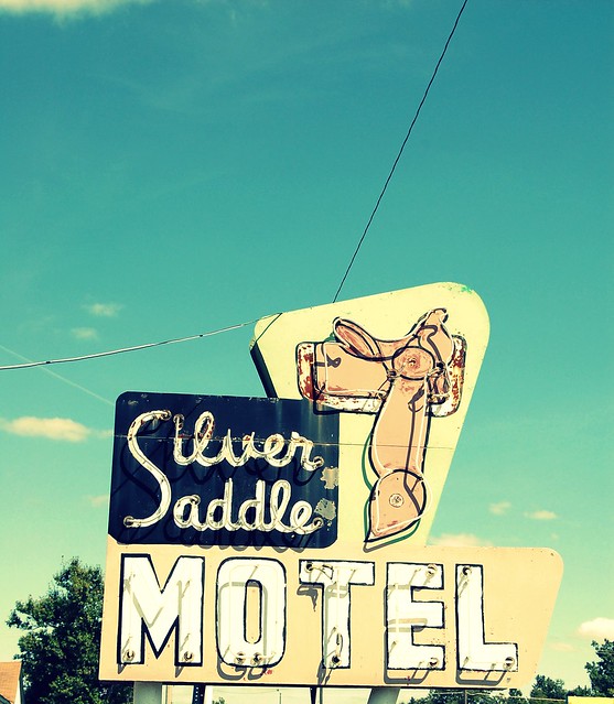 silver saddle