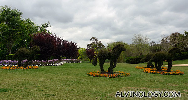 Horse-shaped shrubs