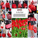 red-handbags