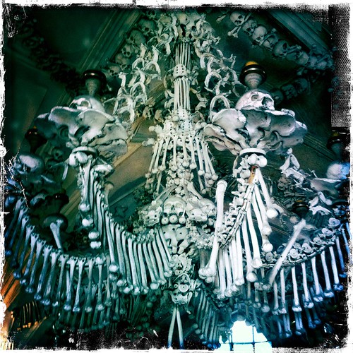 Skeleton (264/365) by elawgrrl