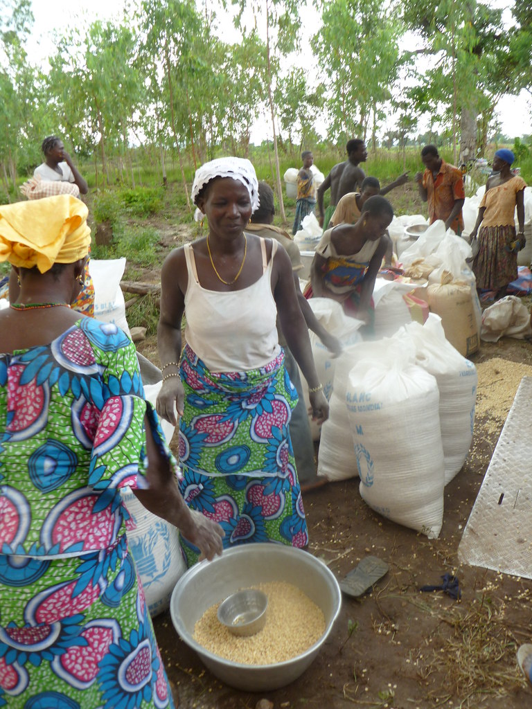 Vente groupée de céréales Togo