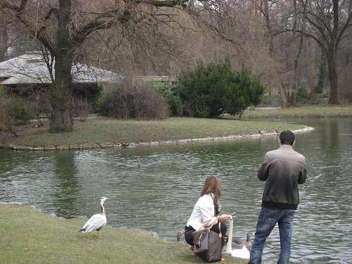 Alimentando los patos y al cisne/Feeding the ducks and swan, Englischer Garten, Münich, Germany - www.meEncantaViajar.com by javierdoren