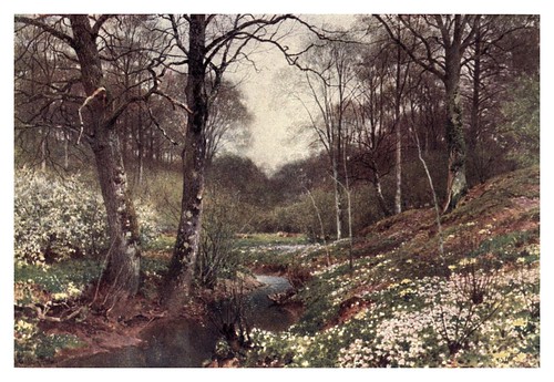 007-Un paisaje de primavera cerca de Dorking-The charm of gardens 1910- Dion Clayton Calthrop