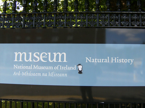 History Museum