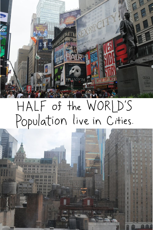 Half of the world's population lives in cities