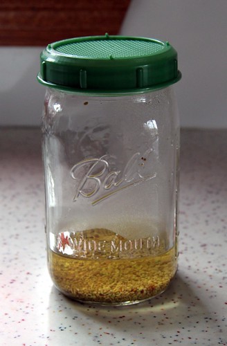 Seed sprouting jar