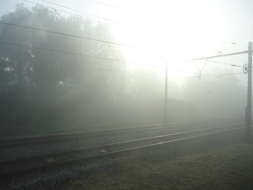 Fog Train 3