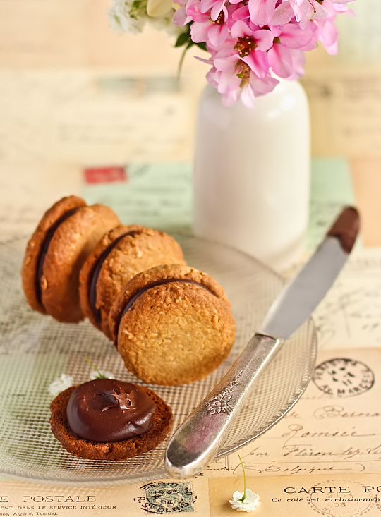 oat_coconut_choc_biscuits-6