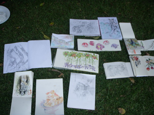 sydney sketchers in the Royal Botanic Garden