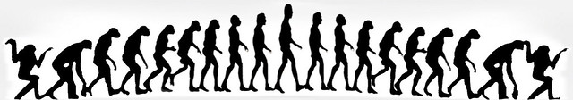 De-Evolution