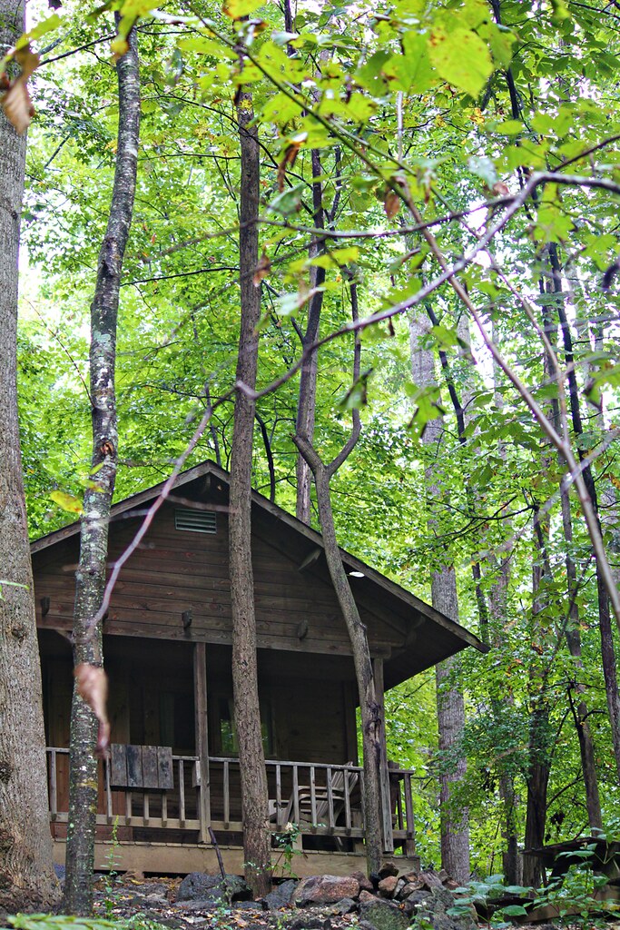 cabin at crabtree falls 