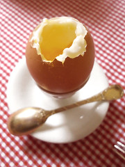 ovo quente no coquetier