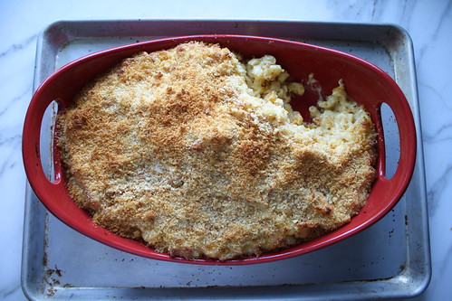 butternut squash macaroni and cheese