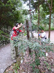 中國環保人士參訪八仙山自然教育中心，隨時隨地都拿者相機在做記錄