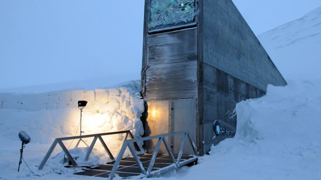 seed Svalbard Global Seed Vault