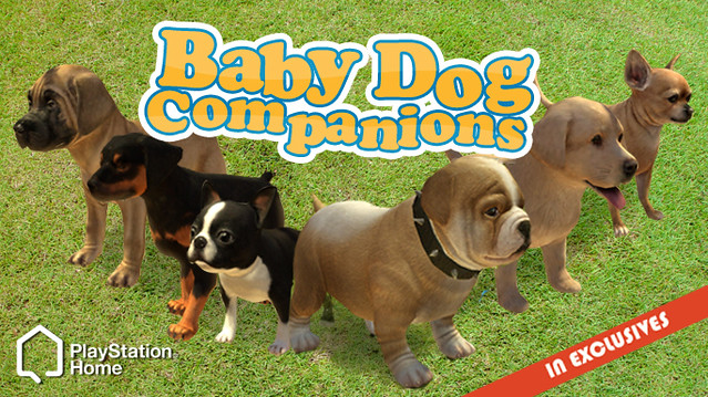 Baby Dog Companions