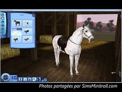 horse0002_1