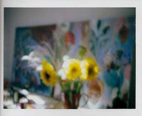 studio flowers