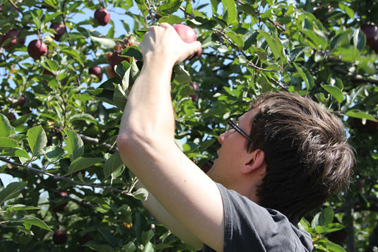 blog lovelymissmegs megan apple picking pingles farm