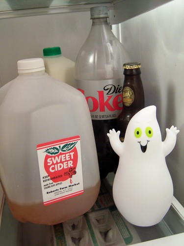 fridge ghost