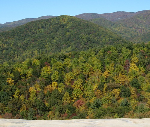 Fall colors at Wolf Rock