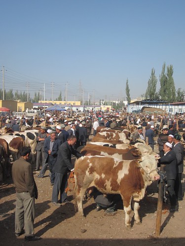Animal market, Kashgar