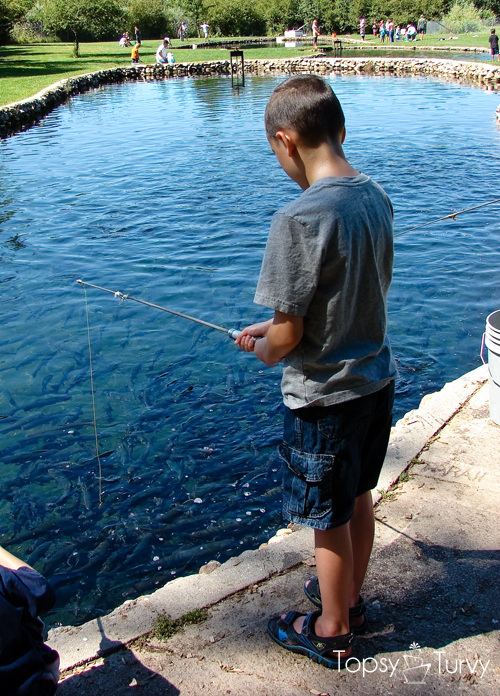 trout-farm-fishing
