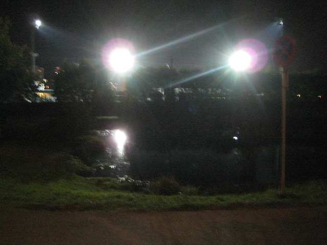 twilight pond