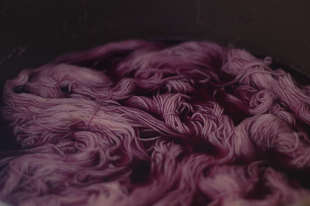 red cabbage dye